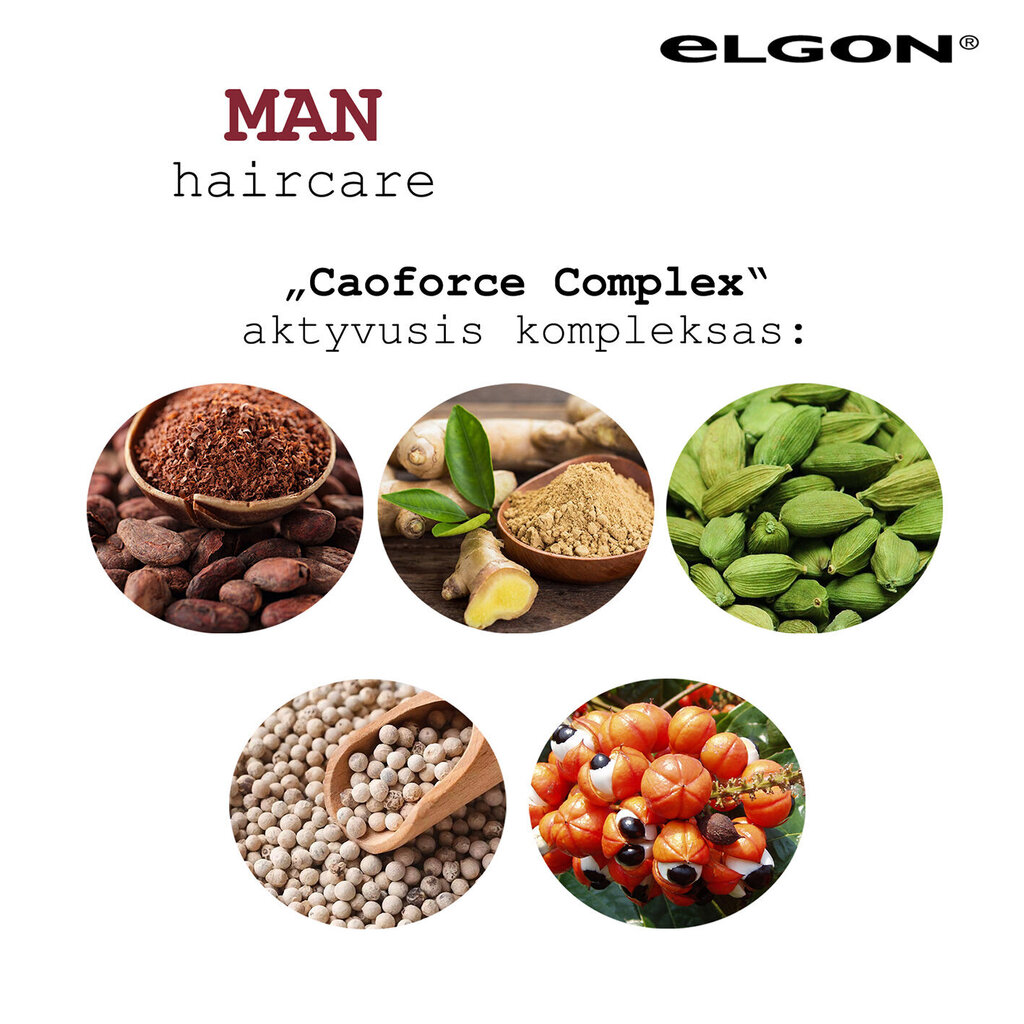 .Hiusten hilseenshampoo miehille Elgon Man Chill 250 ml hinta ja tiedot | Shampoot | hobbyhall.fi