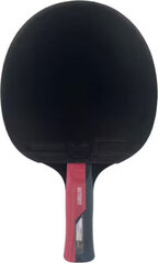 Pöytätennismaila Butterfly Timo Boll Ruby, 1 kpl, punainen hinta ja tiedot | Pingismailat | hobbyhall.fi