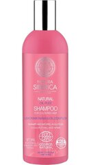 Shampoo Natura Siberica Oil-Plex värjätyille hiuksille 270 ml hinta ja tiedot | Natura Siberica Hiustenhoitotuotteet | hobbyhall.fi