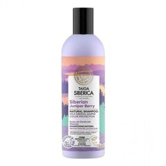 Väriä suojaava shampoo Natura Siberica Taiga Siperian katajanmarja, 270 ml hinta ja tiedot | Natura Siberica Hiustenhoitotuotteet | hobbyhall.fi