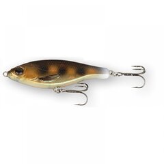 Vaapu SG 3D Roach Jerkster 11,5cm 37g SS Golden Grey hinta ja tiedot | Savage Gear Urheilu ja vapaa-aika | hobbyhall.fi