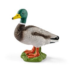 Figūrėlė laukinė antis, patinas, Schleich hinta ja tiedot | Poikien lelut | hobbyhall.fi