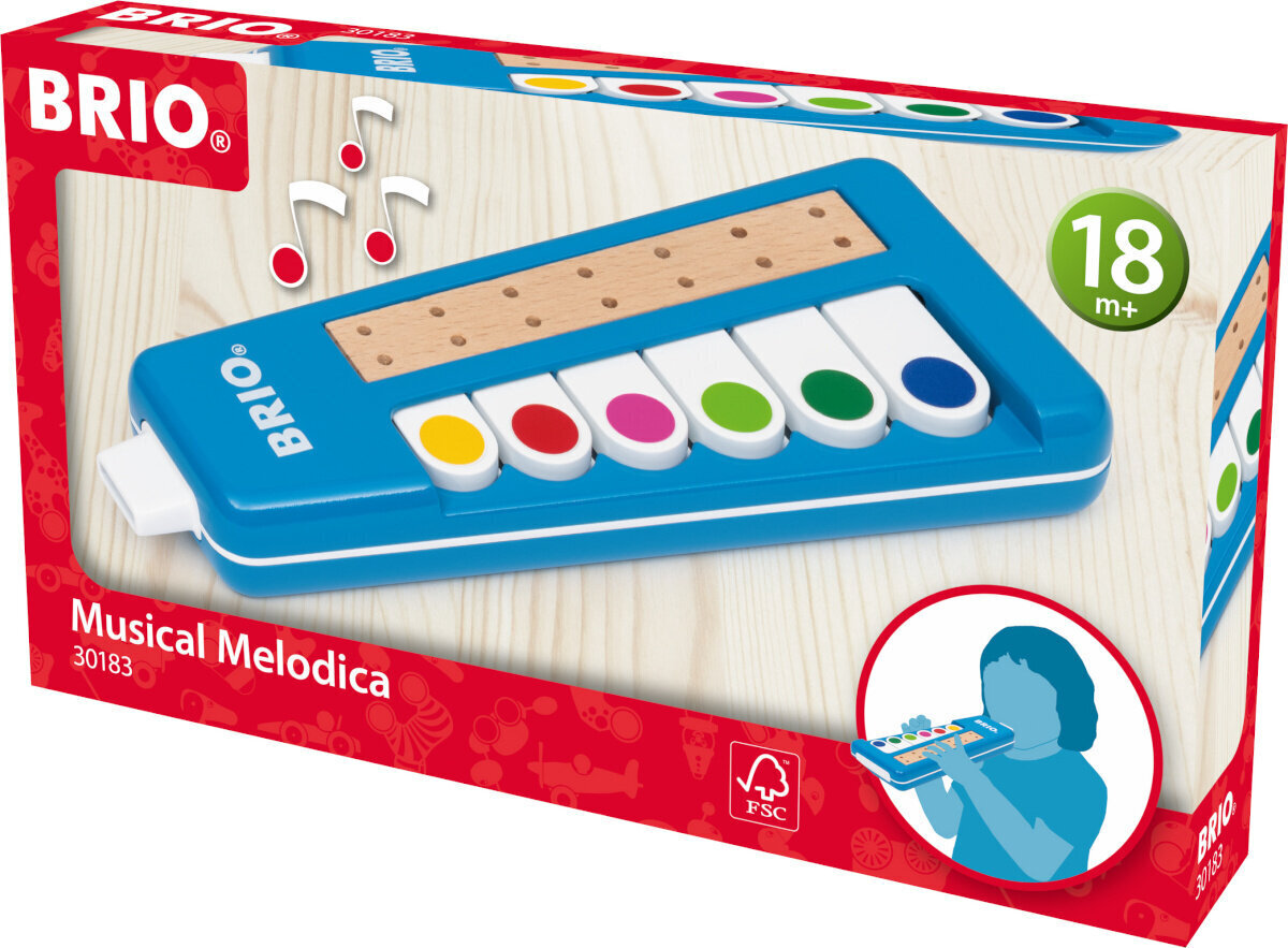 Muzikos instrumentas Brio 30183 hinta ja tiedot | Kehittävät lelut | hobbyhall.fi