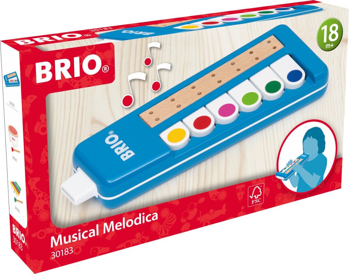 Muzikos instrumentas Brio 30183 hinta ja tiedot | Kehittävät lelut | hobbyhall.fi