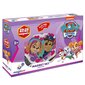 Magneettisarja Paw Patrol hinta ja tiedot | Palapelit | hobbyhall.fi