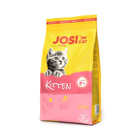 Josera JosiCat kissanpennuille ja tiineille kissoille siipikarja, 1,9 kg hinta ja tiedot | Kissan kuivaruoka | hobbyhall.fi