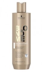 Hiusshampoo vaaleille hiuksille Schwarzkopf Professional Blond Me All Blondes Detox 300ml hinta ja tiedot | Shampoot | hobbyhall.fi