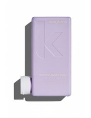 Shampoo vaaleille hiuksille Kevin Murphy Blond Angel Wash 250 ml hinta ja tiedot | Kevin Murphy Hajuvedet ja kosmetiikka | hobbyhall.fi