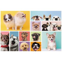 Puzzle Trefl Dogs, 160 det. hinta ja tiedot | Palapelit | hobbyhall.fi