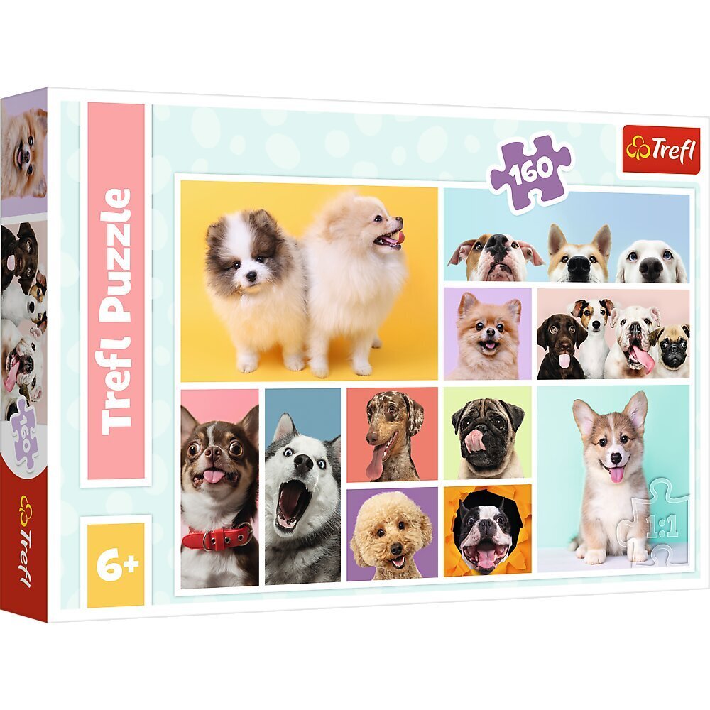 Puzzle Trefl Dogs, 160 det. hinta ja tiedot | Palapelit | hobbyhall.fi