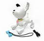 Mintid Dog-E interaktiivinen pentu hinta ja tiedot | Poikien lelut | hobbyhall.fi