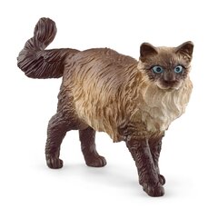 Rag Cat Scleich Farm World hinta ja tiedot | Tyttöjen lelut | hobbyhall.fi