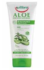 Equilibra Aloe -hoitoaine, 200 ml hinta ja tiedot | Hoitoaineet | hobbyhall.fi