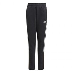 Urheilushortsit lapsille Adidas Tiro21 Sweat Jr GM7332 77808 hinta ja tiedot | Poikien housut | hobbyhall.fi