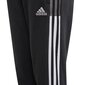 Urheilushortsit lapsille Adidas Tiro21 Sweat Jr GM7332 77808 hinta ja tiedot | Poikien housut | hobbyhall.fi