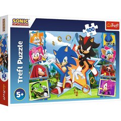 Puzzle Trefl Sonic, 100 osaa hinta ja tiedot | Palapelit | hobbyhall.fi