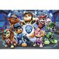 Puzzle Trefl Paw Patrol, 60 palaa hinta ja tiedot | Palapelit | hobbyhall.fi