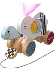 Vetolelu TopBright Bunny and Tortoise Race hinta ja tiedot | Top Bright Lelut | hobbyhall.fi