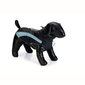 Koiran takki Beeztees Saby, eri kokoja, musta/sininen hinta ja tiedot | Koiran vaatteet | hobbyhall.fi