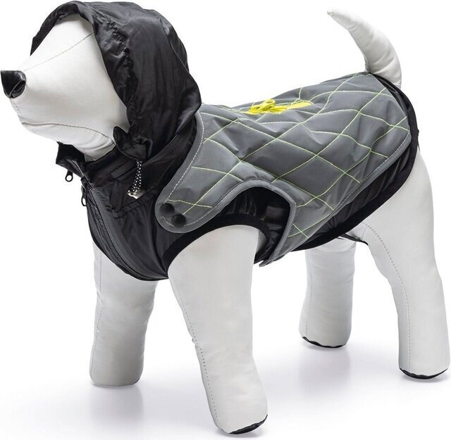 Takki koirille Beeztees Safety Gear Allia, eri kokoja, harmaa hinta ja tiedot | Koiran vaatteet | hobbyhall.fi