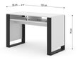 Työpöytä Mondi, 120x55x75 cm, valkoinen hinta ja tiedot | Tietokonepöydät ja työpöydät | hobbyhall.fi