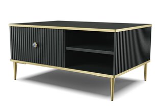 Sohvapöytä Petra, 90x60 cm, musta hinta ja tiedot | Sohvapöydät | hobbyhall.fi
