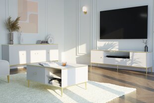 Sohvapöytä Petra, 90x60 cm, valkoinen hinta ja tiedot | Sohvapöydät | hobbyhall.fi
