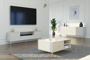 Petra sohvapöytä, 90x60 cm, ruskea hinta ja tiedot | Sohvapöydät | hobbyhall.fi