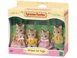 Raidallisten kissojen perhe Sylvanian Families hinta ja tiedot | Tyttöjen lelut | hobbyhall.fi