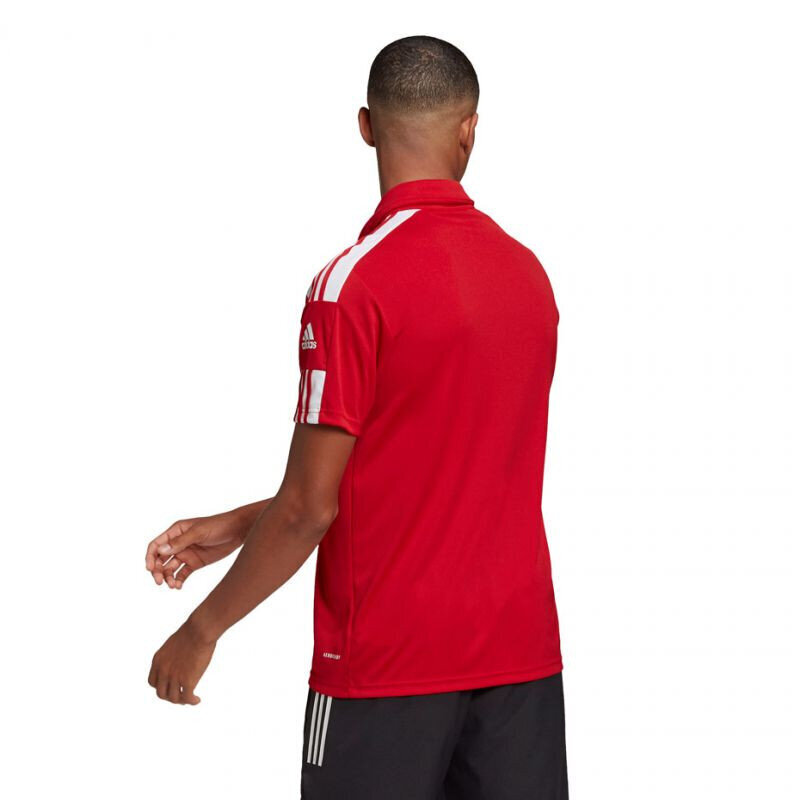 Miesten Adidas Squadra 21 Polo M GP6429, punainen hinta ja tiedot | Miesten urheiluvaatteet | hobbyhall.fi