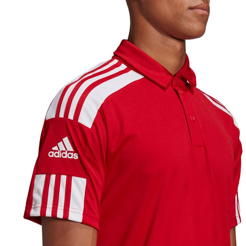 Miesten Adidas Squadra 21 Polo M GP6429, punainen hinta ja tiedot | Miesten urheiluvaatteet | hobbyhall.fi