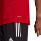 Miesten Adidas Squadra 21 Polo M GP6429, punainen hinta ja tiedot | Miesten urheiluvaatteet | hobbyhall.fi