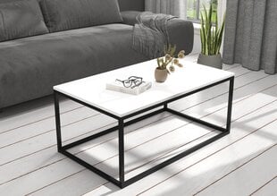 Sohvapöytä Narisa 100x60 cm, valkoinen/musta hinta ja tiedot | Sohvapöydät | hobbyhall.fi