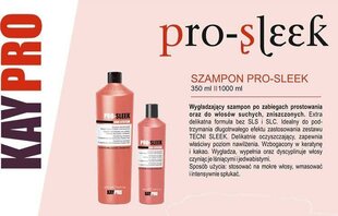 Suihke kemiallisesti käsitellyille hiuksille KayPro Disciplining pro sleek Liss System, 200 ml hinta ja tiedot | Naamiot, öljyt ja seerumit | hobbyhall.fi