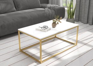 Sohvapöytä Narisa 100x60 cm, valkoinen/kulta hinta ja tiedot | Sohvapöydät | hobbyhall.fi