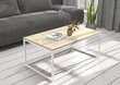 Sohvapöytä Narisa 100x60 cm, ruskea/valkoinen hinta ja tiedot | Sohvapöydät | hobbyhall.fi