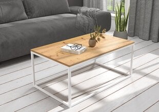 Sohvapöytä Narisa 100x60 cm, ruskea/valkoinen hinta ja tiedot | Sohvapöydät | hobbyhall.fi