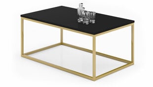Sohvapöytä Narisa 100x60 cm, musta/kulta hinta ja tiedot | Sohvapöydät | hobbyhall.fi