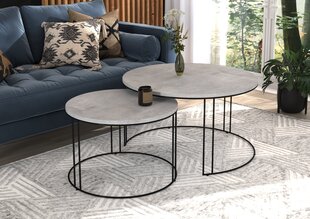 Sohvapöytäsetti ADRK Furniture Etta, harmaa/musta hinta ja tiedot | Sohvapöydät | hobbyhall.fi