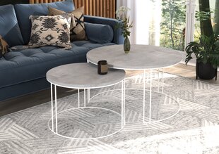 Sohvapöytäsetti ADRK Furniture Etta, harmaa/valkoinen hinta ja tiedot | Sohvapöydät | hobbyhall.fi