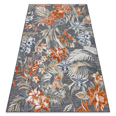 Rugsx Matto Botanic 65262, 117x170 cm hinta ja tiedot | Isot matot | hobbyhall.fi