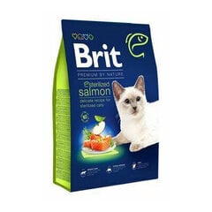 Brit Dry Premium steriloiduille kissoille lohen kanssa, 1,5 kg hinta ja tiedot | Kissan kuivaruoka | hobbyhall.fi