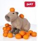 Pehmolelu Kapibara Fancy, 34 cm hinta ja tiedot | Pehmolelut | hobbyhall.fi