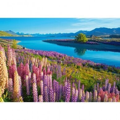 Palapeli Castorland Lake Tekapo New Zealand, 500 palaa hinta ja tiedot | Palapelit | hobbyhall.fi