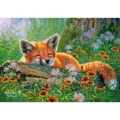 Palapeli Castorland Foxy Dreams, 500 palaa hinta ja tiedot | Castorland Lapset | hobbyhall.fi