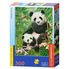 Palapeli Castorland Panda Brunch 300 palaa hinta ja tiedot | Palapelit | hobbyhall.fi