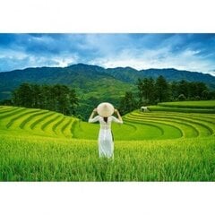 Palapeli Castorland Rice Fields in Vietnam 1000 palaa hinta ja tiedot | Palapelit | hobbyhall.fi