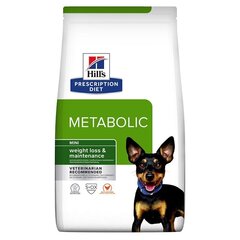 Hill"S PD Canine Metabolic Mini aikuisille pienikokoisille koirille, 1 kg hinta ja tiedot | Koiran kuivaruoka | hobbyhall.fi