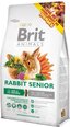 Brit Animals Lemmikit internetistä