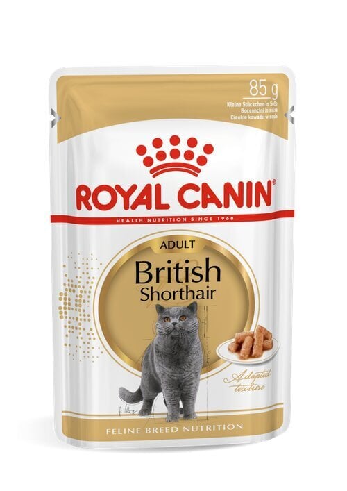 Royal Canin brittiläinen lyhytkarva aikuisille brittiläisille lyhytkarvaisille kissoille,12x85g hinta ja tiedot | Kissanruoka | hobbyhall.fi